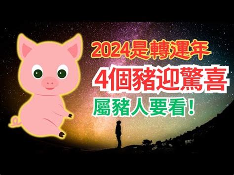 屬豬適合什麼顏色|2024豬年開運色速查